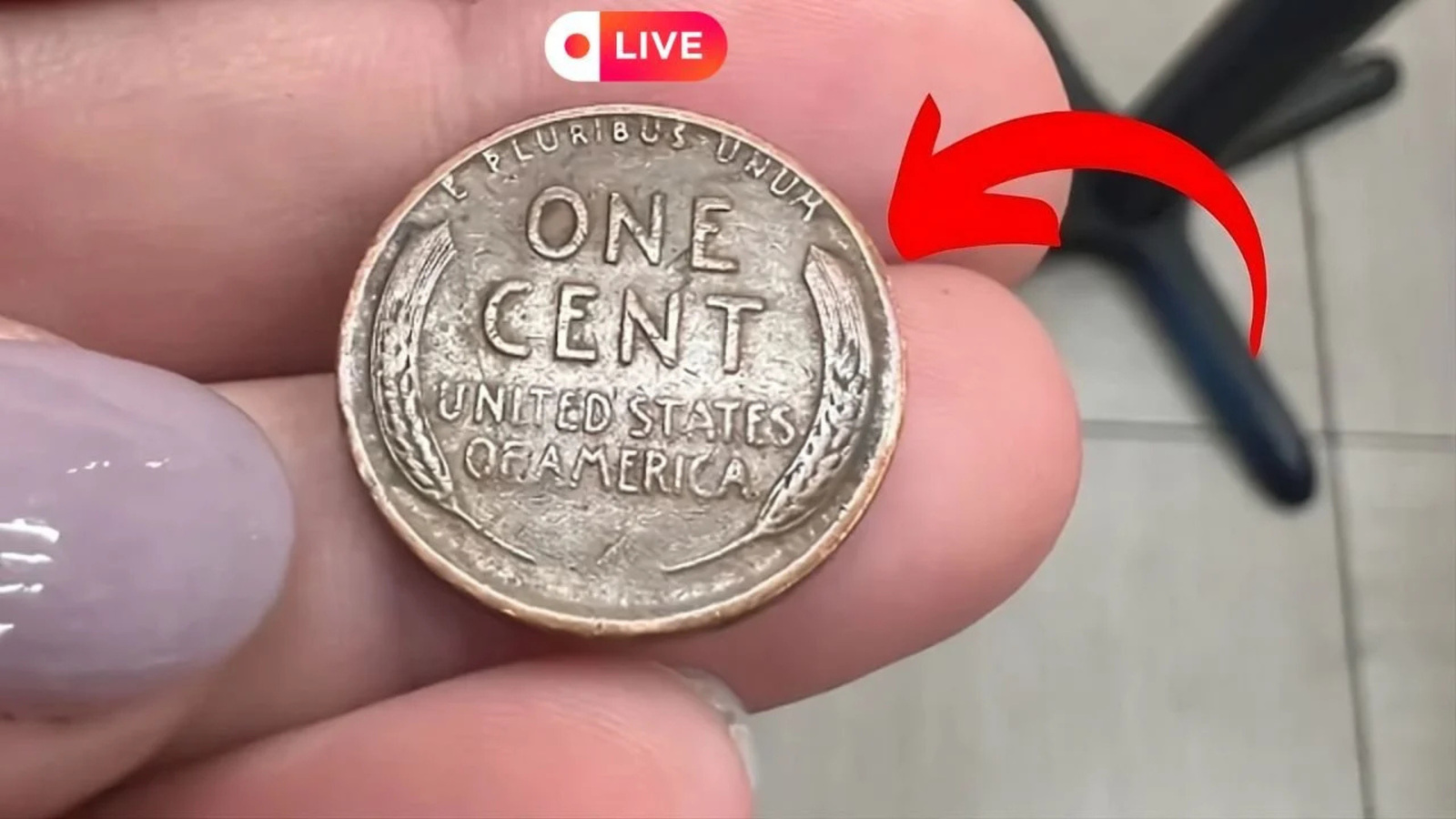 How a 10-Year-Old Found a Rare Lincoln Wheat Penny That Changed His Family’s Life Forever